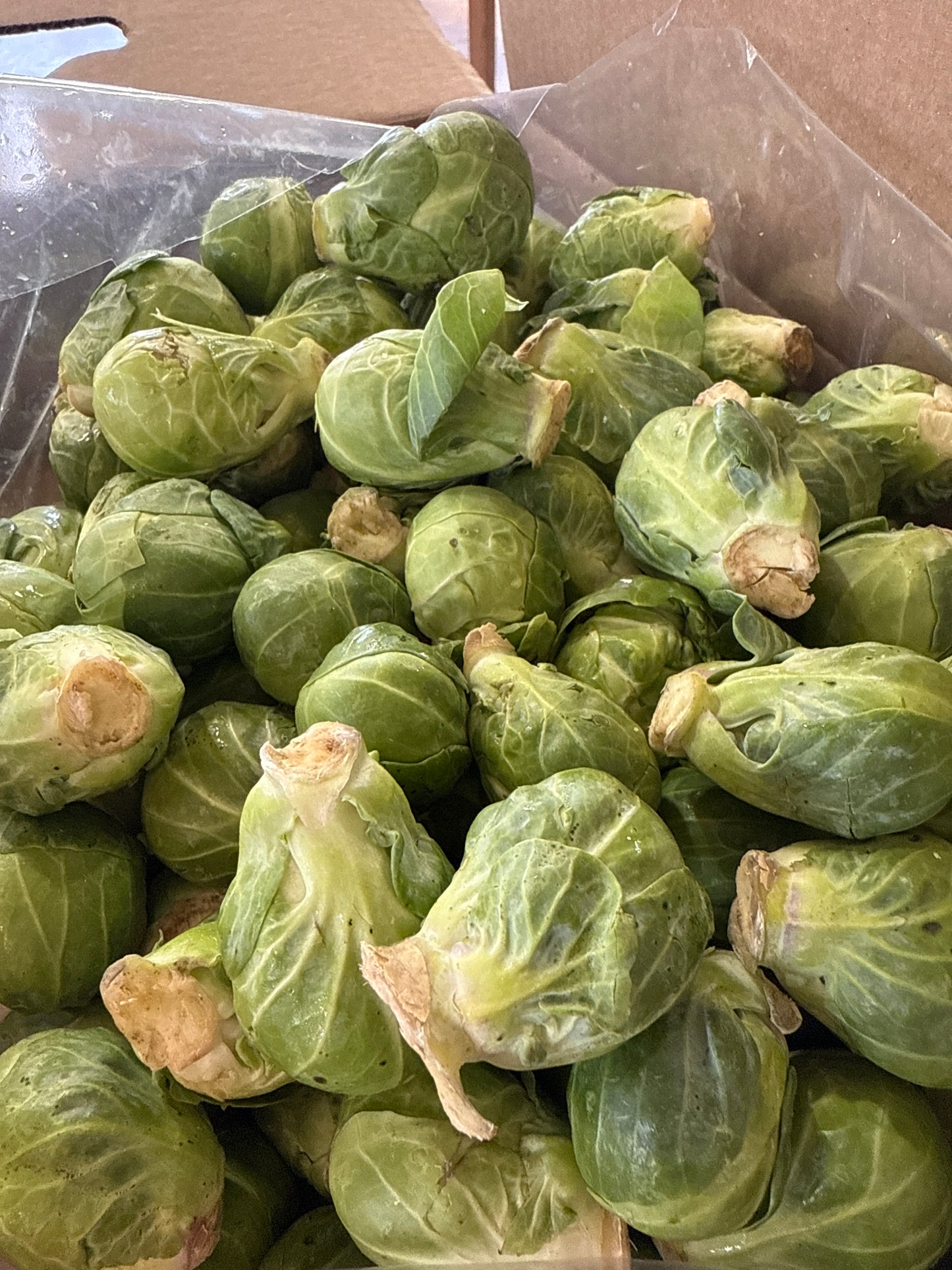 Brussels Sprouts- one pound